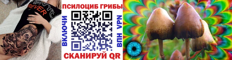 Галлюциногенные грибы GOLDEN TEACHER  Зеленокумск 