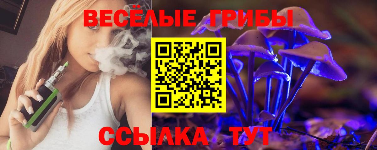 Зеленокумск  Псилоцибиновые грибы MAGIC MUSHROOMS  Вход с VPN 