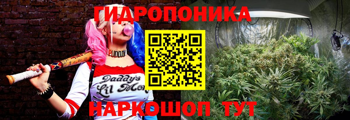 Канабис конопля Зеленокумск